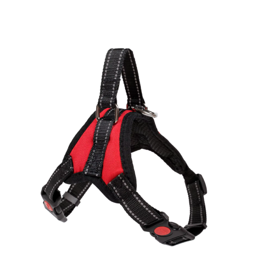 Arnés "Ergonomic Fit"