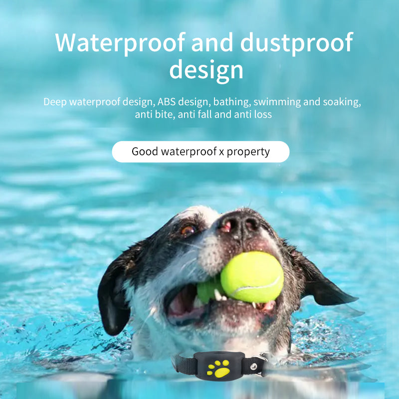 GPS -Safe Paw-