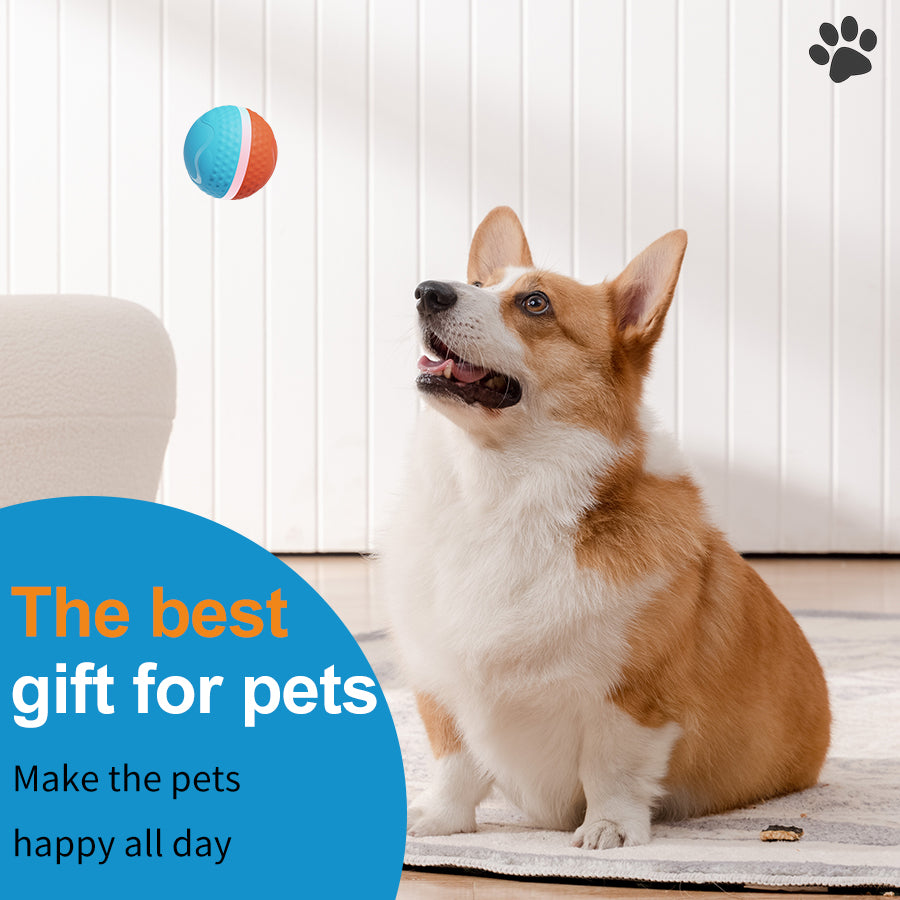 Pelota Interactiva "Bouncy Bright"