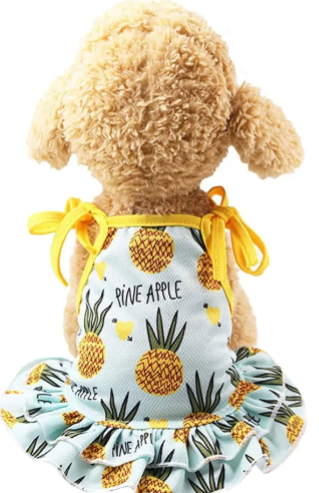 Vestido "Fruit Style"