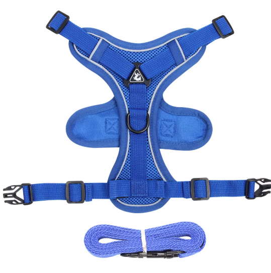 Set de Arnés y Correa “ColorMax”