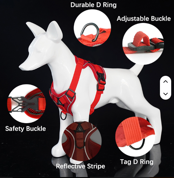 Set de Arnés y Correa “ColorMax”