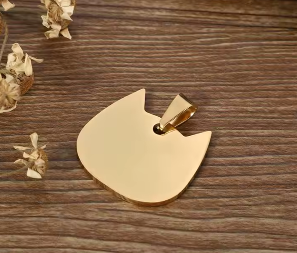 Placa varias formas de Identidad PET 1