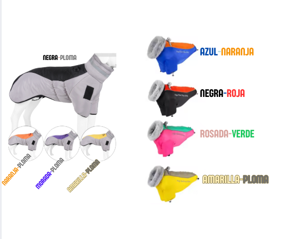 Ropa y Accesorios