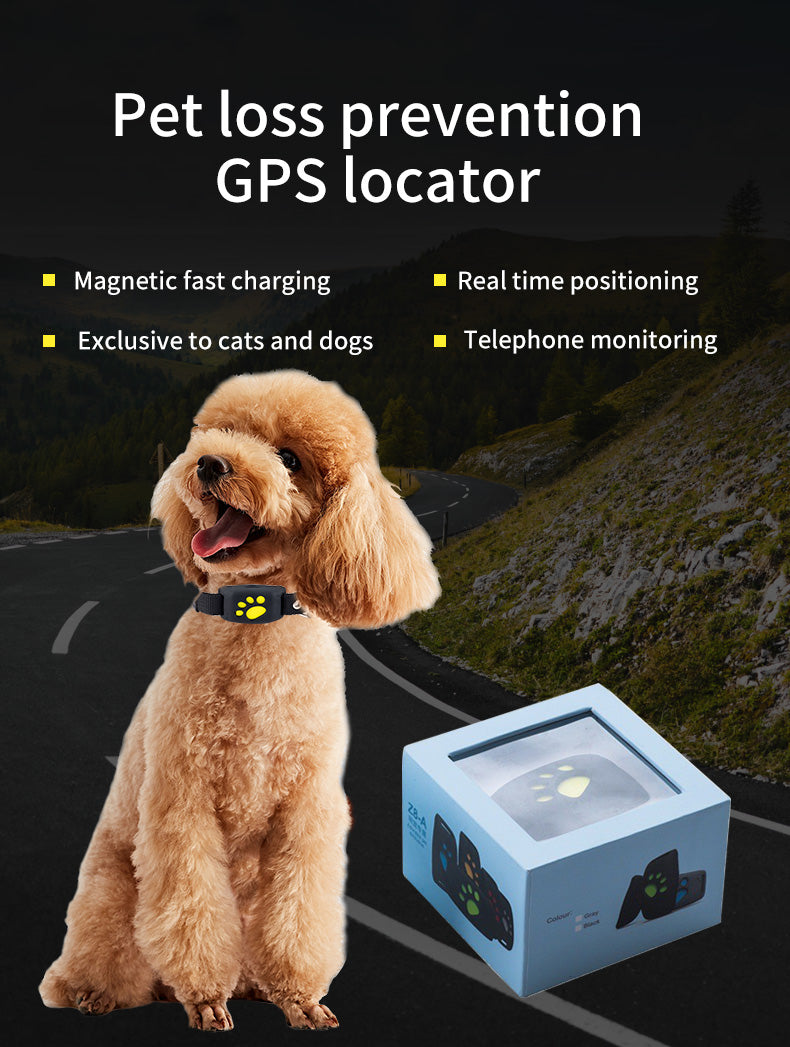 GPS -Safe Paw-