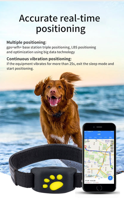 GPS -Safe Paw-