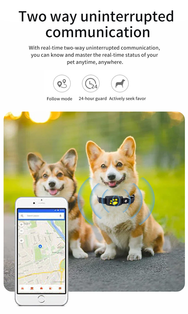 GPS -Safe Paw-