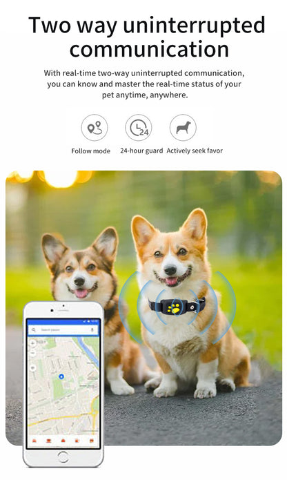 GPS -Safe Paw-