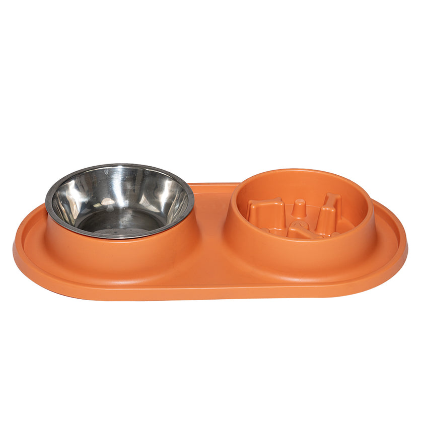 Kit de Alimentación "Healthy Feast"