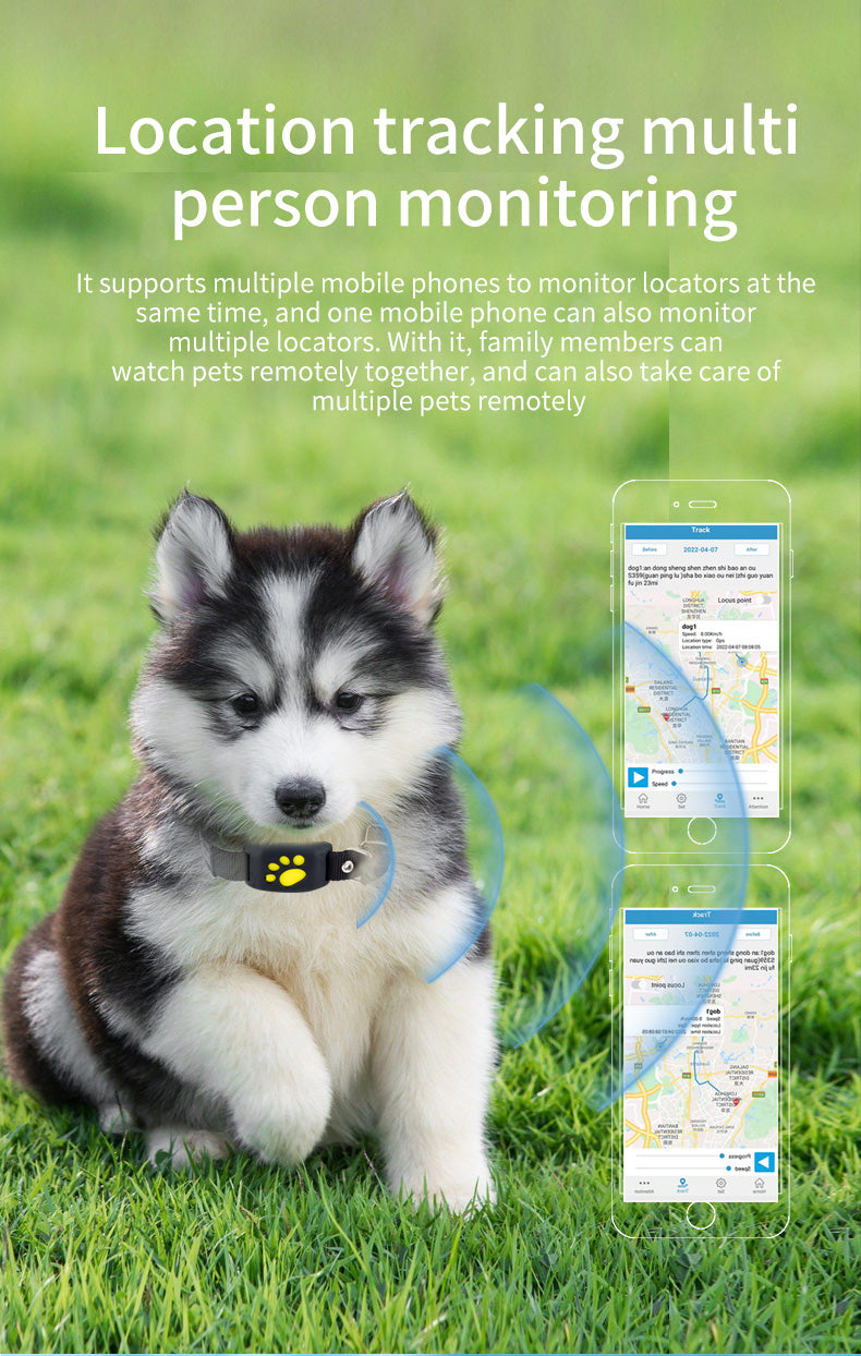 GPS -Safe Paw-