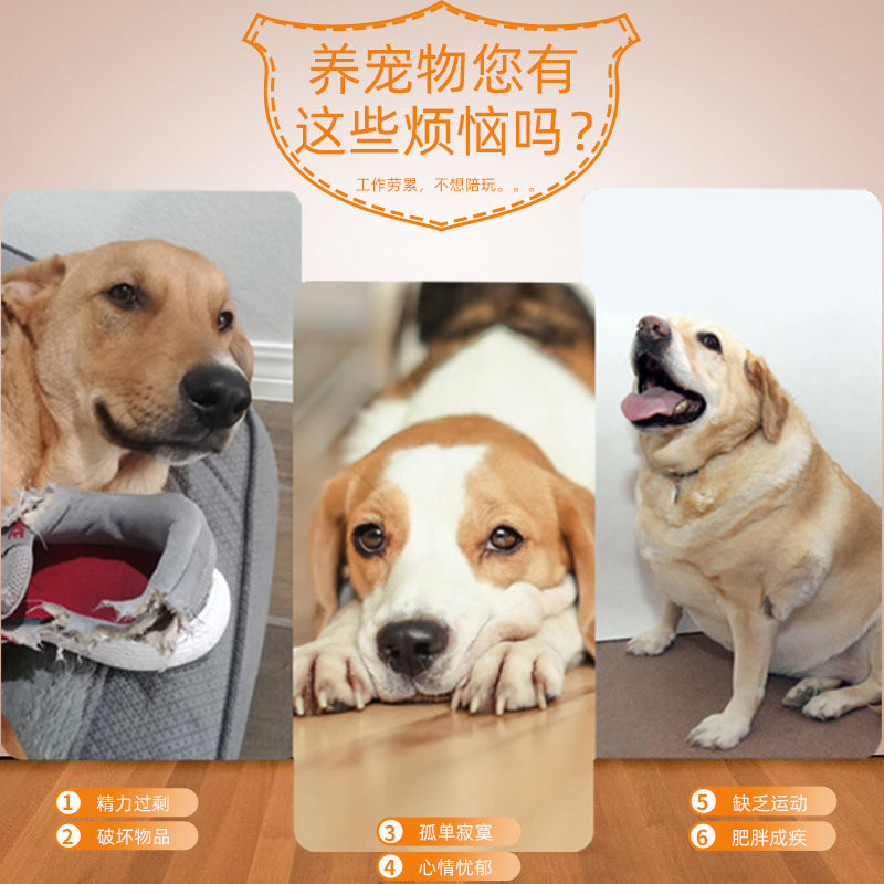 Lanzador de Pelotas "Fetch Pro"