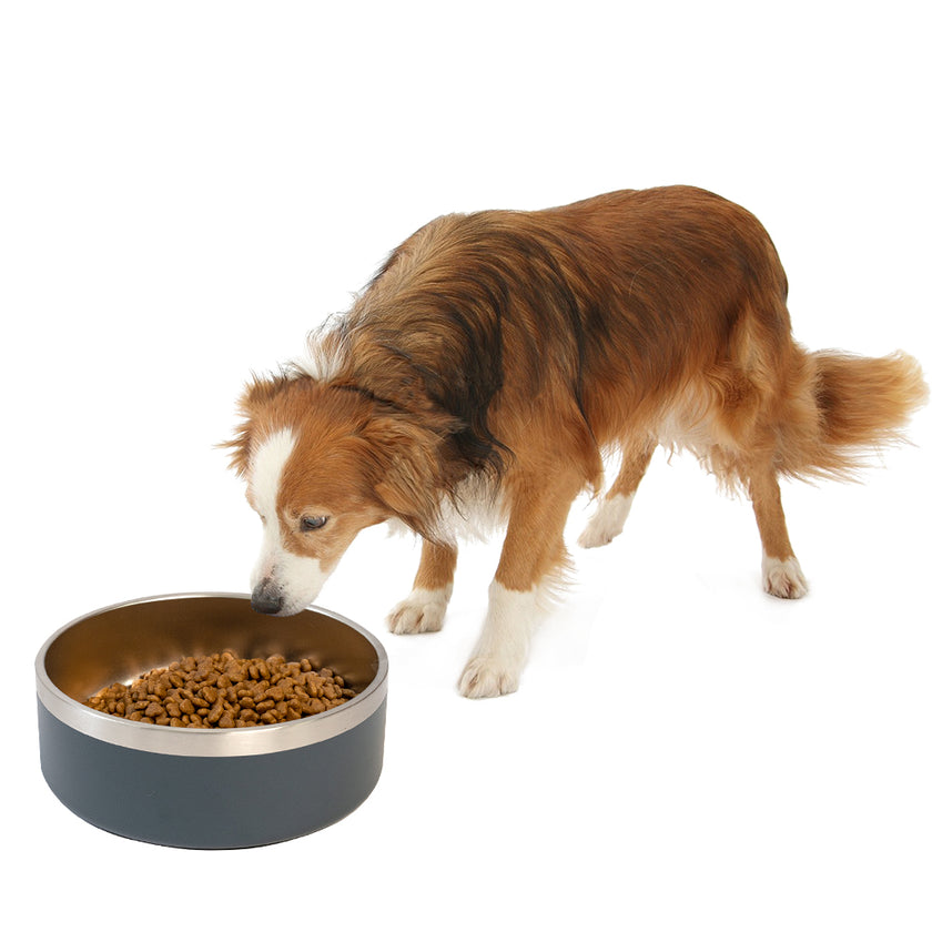 Plato "Gourmet Bowl"