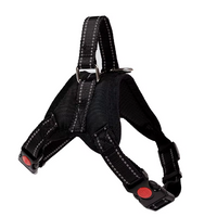 Arnés "Ergonomic fit"