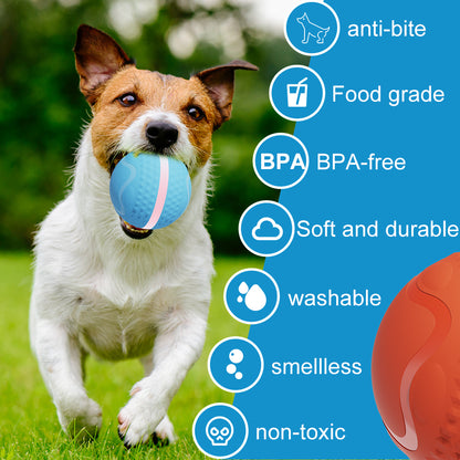 Pelota Interactiva "Bouncy Bright"