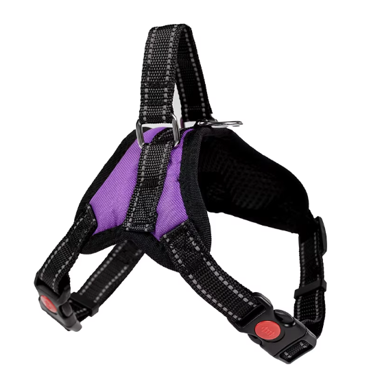 Arnés "Ergonomic fit"