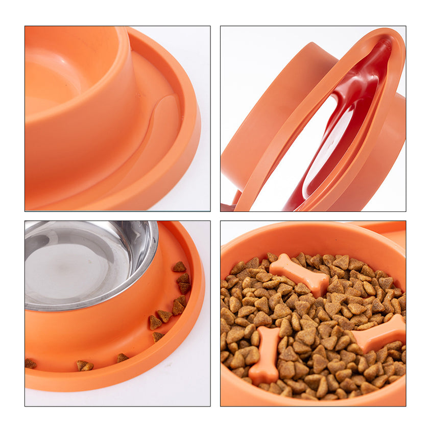 Kit de Alimentación "Healthy Feast"