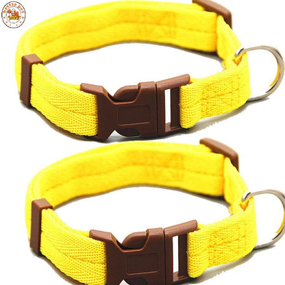 Collares “Vibrant Comfort”