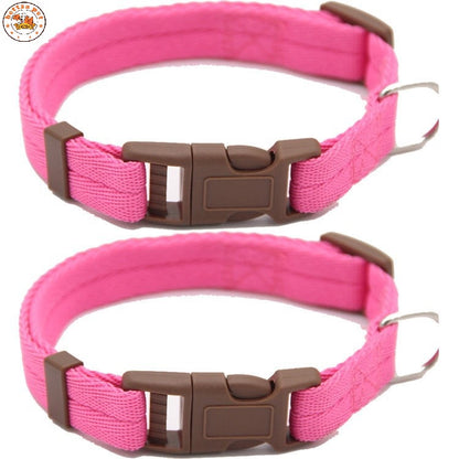 Collares “Vibrant Comfort”