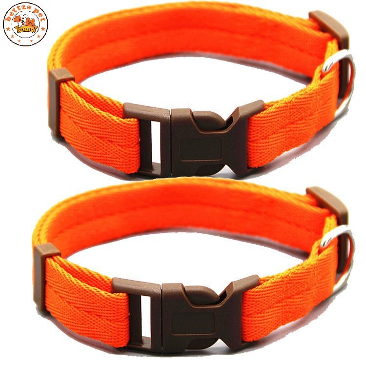 Collares “Vibrant Comfort”