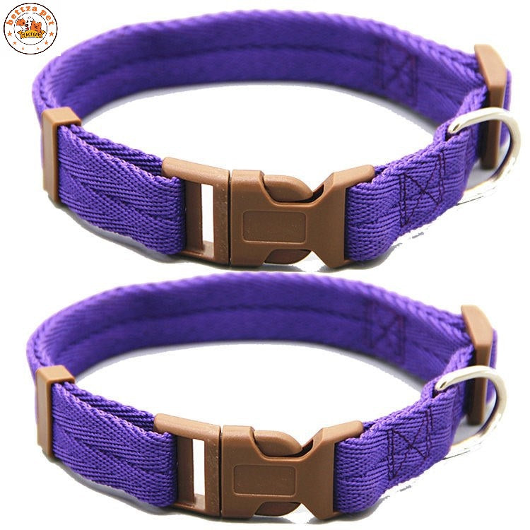 Collares “Vibrant Comfort”