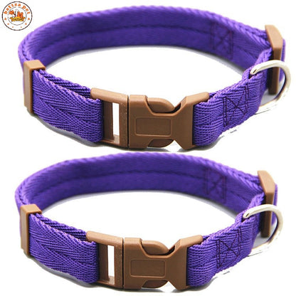 Collares “Vibrant Comfort”