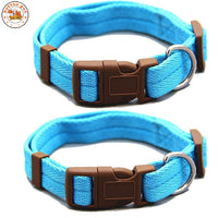 Collares “Vibrant Comfort”