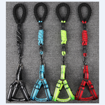 Set de Paseo “Dynamic Grip”