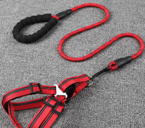 Set de Paseo “Dynamic Grip”