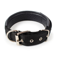 Collares Resistentes “PowerFit”