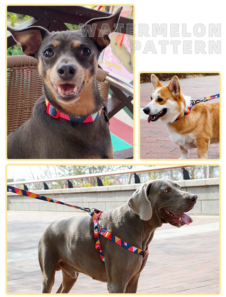 Collar "Camouflage Style"