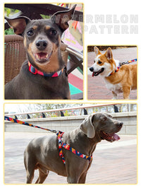 Collar -Camouflage Style-