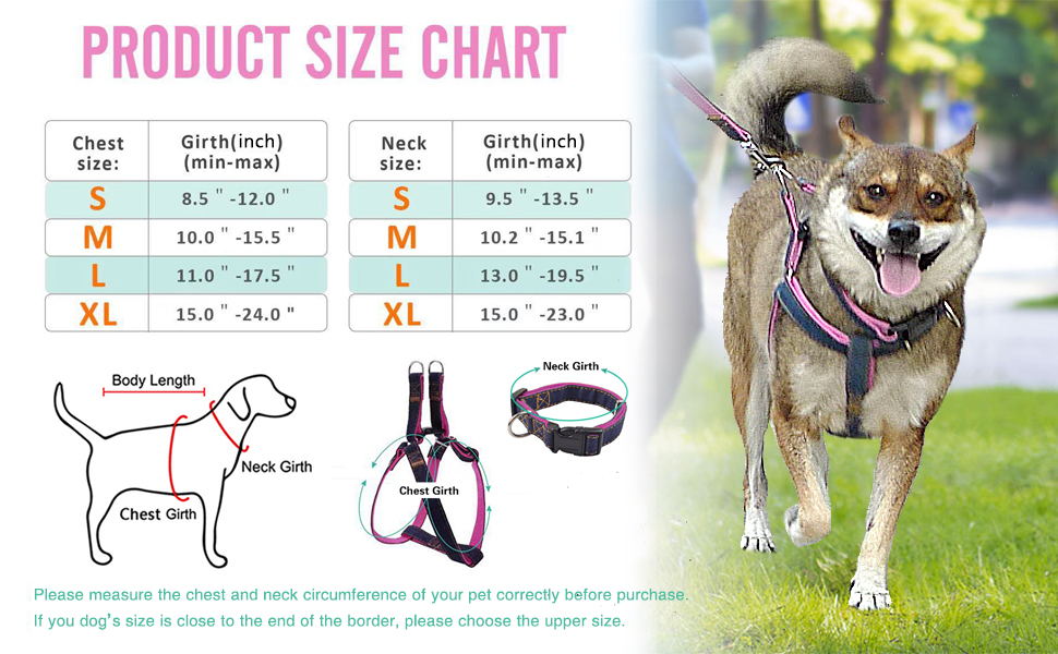 Set de Arnés y Correa "Cat Paws"