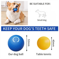 Pelota Interactiva "Smart Fetch"