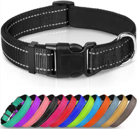Collar "Dog Sport"