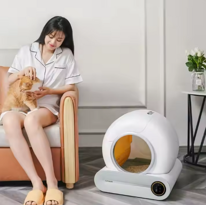 Arenero Inteligente "AutomaCat"