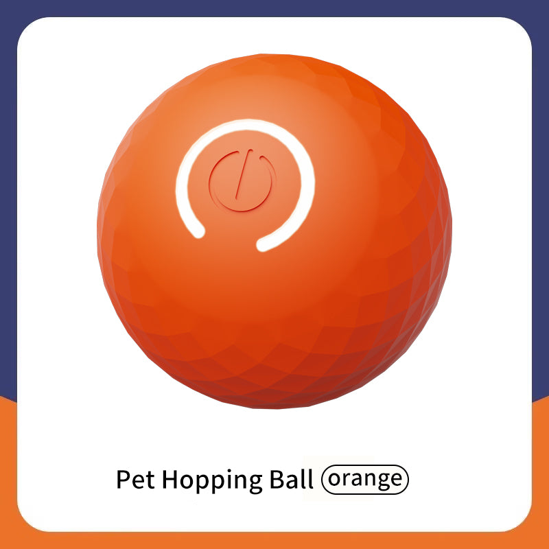 Pelota Interactiva "Smart Fetch"