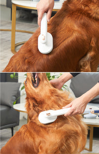 Cepillo -Fur Ease -