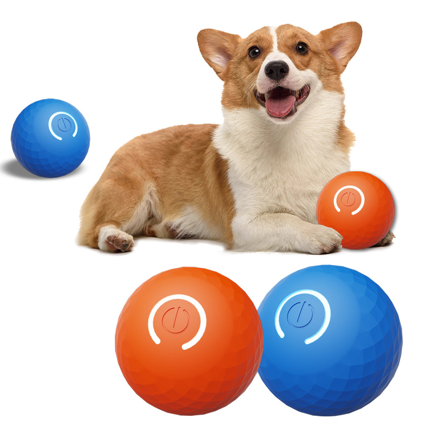 Pelota Interactiva "Smart Fetch"
