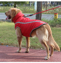 Chaleco Reflectante para Mascotas "SafetyPaw"