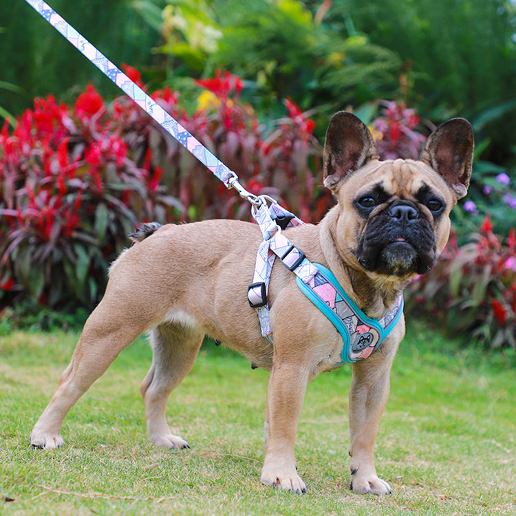 Set de Paseo "Comfort & Style"