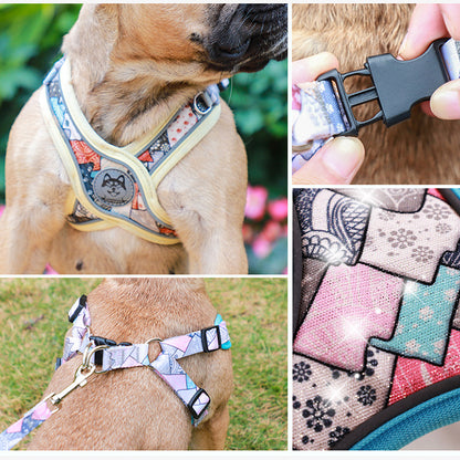 Set de Paseo "Comfort & Style"