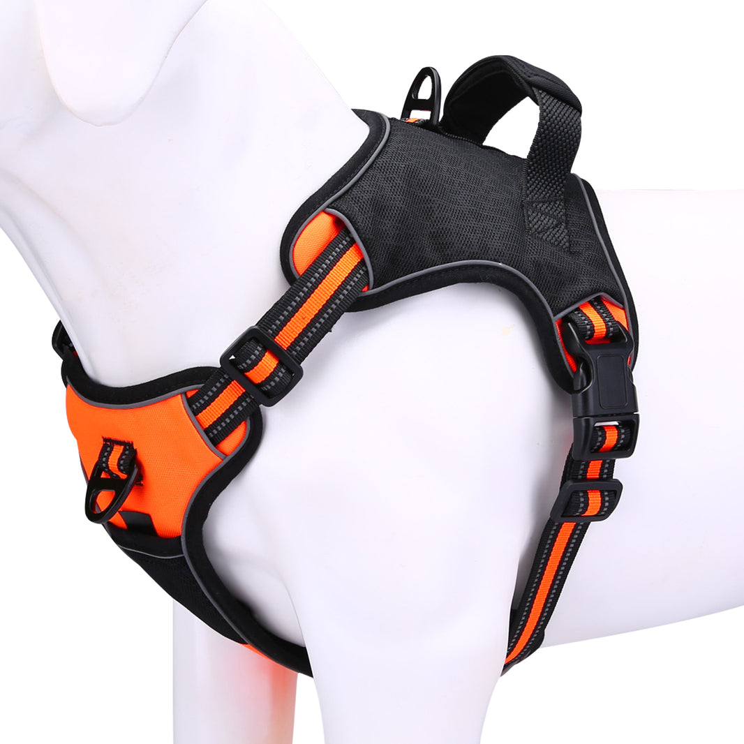Arnés Deportivo "MaxFit Pro"