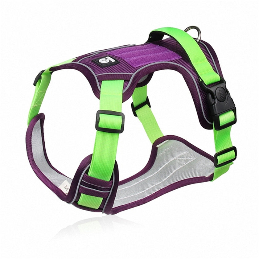 Arnés Premium "PowerGuard"