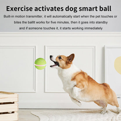 Pelota Interactiva "Bouncy Bright"