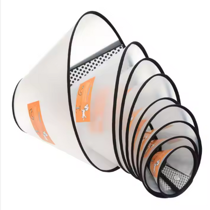 Collar  "Isabelino Pet"