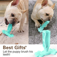 Juguete Mordedor "Dental Paw"
