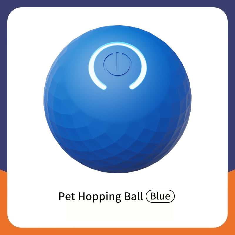Pelota Interactiva "Smart Fetch"