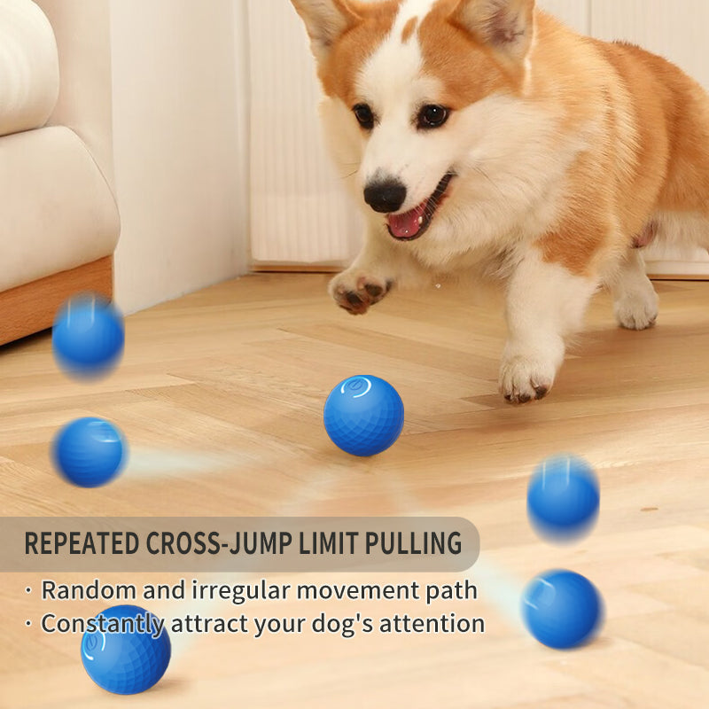 Pelota Interactiva "Smart Fetch"