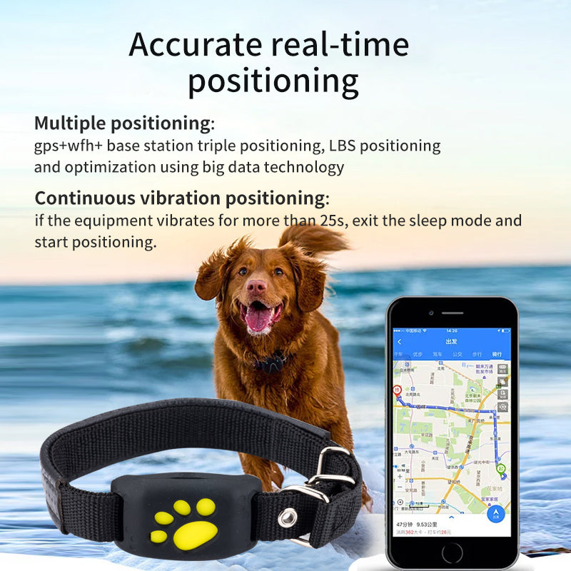 GPS -Safe Paw-