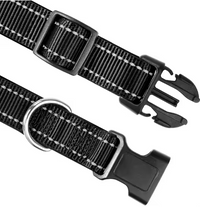 Collar "Dog Sport"